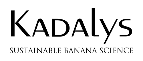 Kadalys