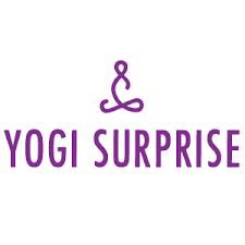 Yogi Surprise