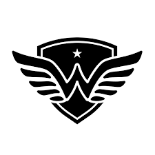Wonder Hoodie