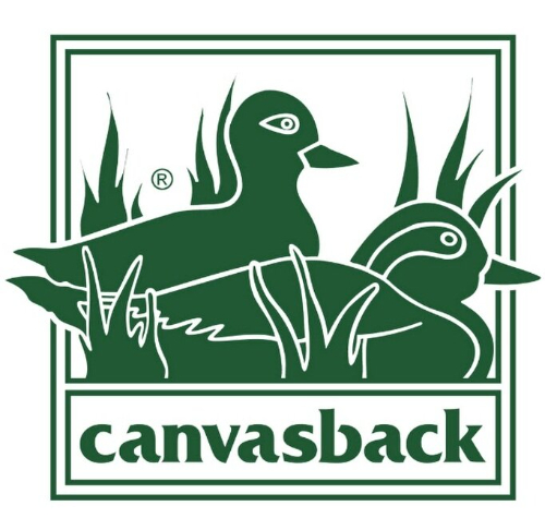 Canvasback