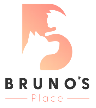 Bruno's Place logo