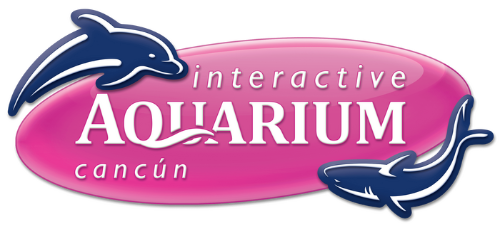 Interactive Aquarium